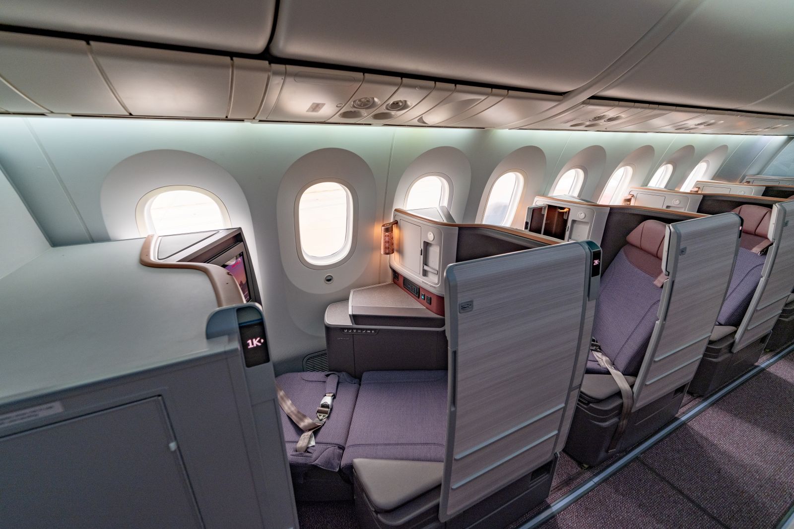 Air India 787-8 cabin